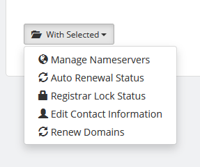 ScalaHosting Client Area, Managing services and domains 3