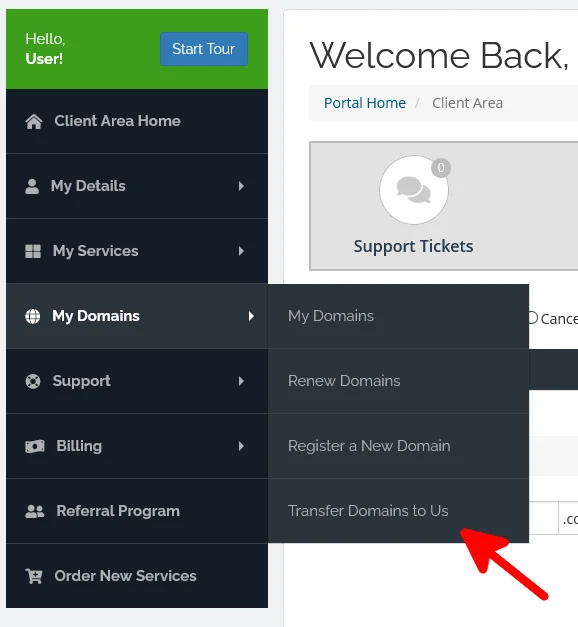 How To Transfer a Domain Name To Us, Transferring your domain to ScalaHosting